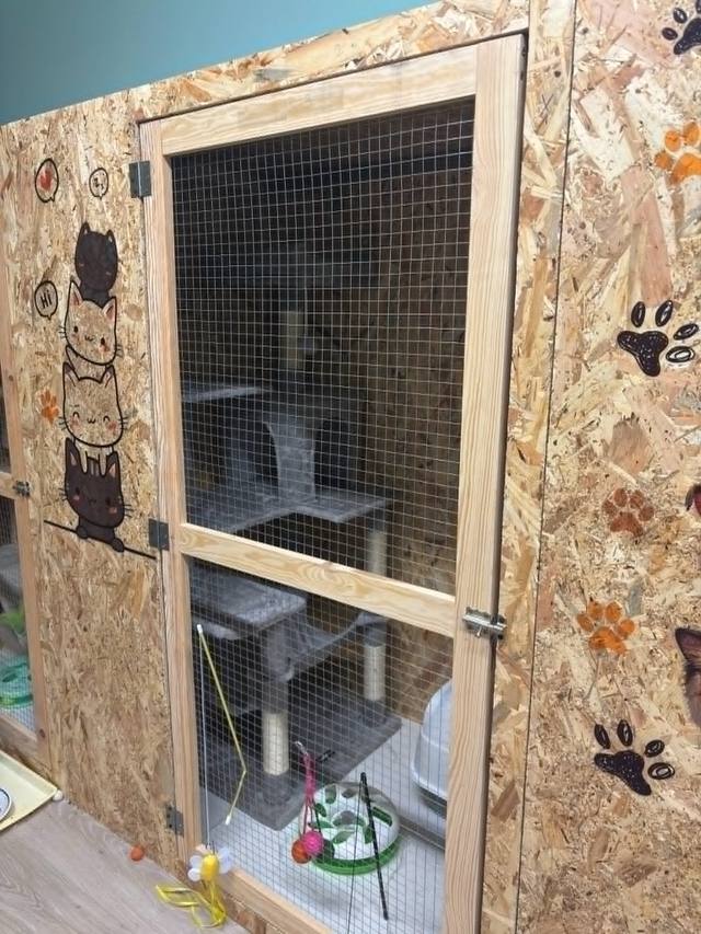 Kennel cicamászókával a panzióban