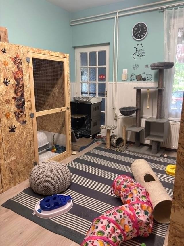 A panzió játszószobája